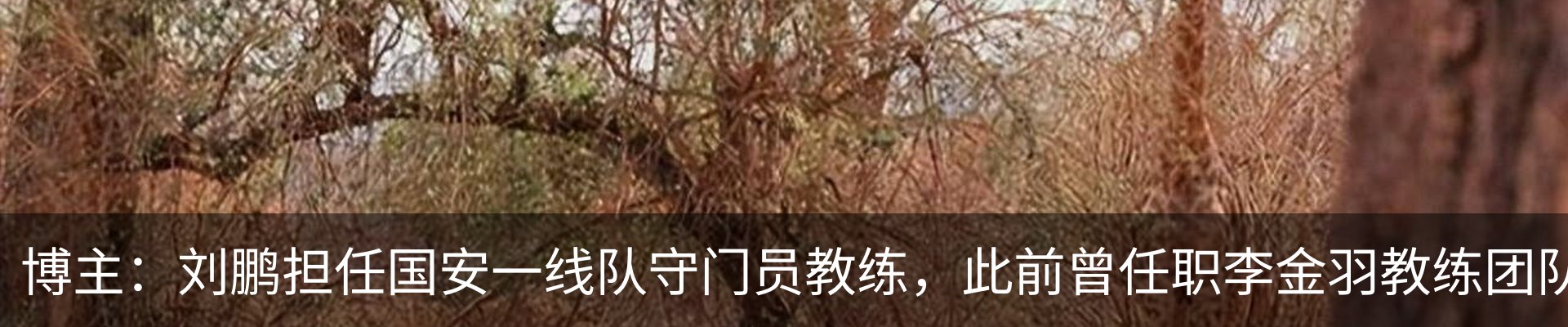 新闻动态